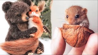 Compilation De Vidéos De Bébés Animaux Les Plus Mignons Moment Mignon Des Animaux   Animaux Les Plus