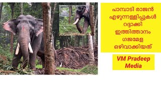 Pampady Rajan എഴുന്നള്ളിപ്പുകൾ റദ്ദാക്കി ഇത്തിത്താനം ഗജമേള ഒഴിവാക്കിയത്VMPradeepMedia22 April 2022