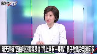 明天過後？西伯利亞狐狸凍僵「背上還有一隻鳥」鴨子放風冷到逃回家！ -0112【關鍵時刻2200精彩1分鐘】