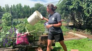 Learning to Exercise While Gardening