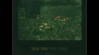 Kátai Tamás - Erika szobája (2006)