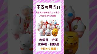 【当たる干支占い】2025年2月の「恋愛運・金運・仕事運・健康運」 #運気アップ #占い #十二支 #開運 #おすすめ