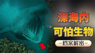 深海恐怖生物：满嘴獠牙以鲸鱼为食，最可怕的海洋生物长啥样？