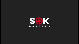 SOK Server rack lithium battery 51.2V 100Ah, SK48V100