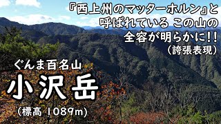 [登山] ぐんま百名山 / 小沢岳 ～『西上州のマッターホルン』と呼ばれている この山の全容が明らかに～ [群馬県甘楽郡南牧村]