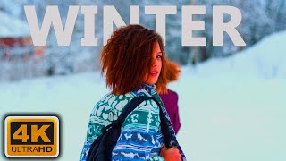 শীতের মধুরতা ।। WINTER  (4K UHD) - Relaxing Music Along With Beautiful Nature Videos - 4K Video HD