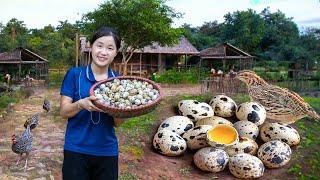 Harvesting Quail Eggs Goes To Market Sell - Lý Thị Ngọc