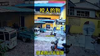 这是怎么了？狗狗突然咬人...#搞笑 #熱門#惊险#奇葩#监控下的一幕