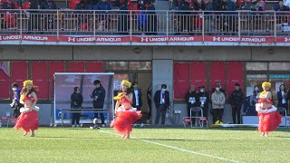 フラガール  2025.02.15 いわきFC開幕戦 in ハワイアンズスタジアム