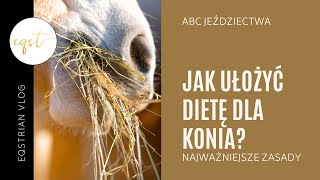 JAK UŁOŻYĆ DIETĘ DLA KONIA? | najważniejsze zasady