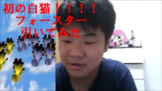 【白猫プロジェクト】さあクラニィ目指してフォースター引くぞ！！！22連発！