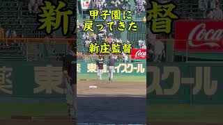 新庄監督　甲子園に戻ってくる　#圧倒的な華#阪神タイガース#プロ野球 #npb#新庄監督#岡田監督#日本ハム #甲子園#交流戦#ハイタッチ #キツネダンス