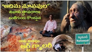 ఆదిమానవుల నివాస స్థావరాలు, ఆర్ట్ గ్యాలరీ, ఒంటిగుండు కొండపైన / @usnewstelugu