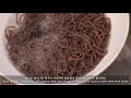 sub cold buckwheat noodle soup 시원한 냉모밀로 더위를 날려버리자