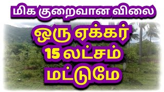 ஒரு ஏக்கர் 15 லட்சம் மட்டுமே #agrilandforsale #dindigul #landforsale #realestate