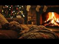 deep sleep u0026 relaxation cozy corner with dog purring u0026 fireplace ambience