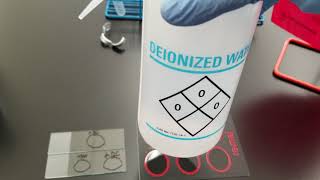 Microbiology:  Slide Coagulase Test