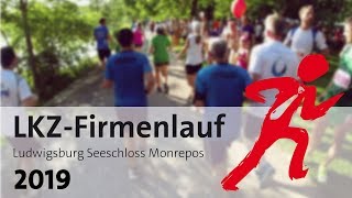 LKZ-Firmenlauf 2019 | Ludwigsburger Kreiszeitung