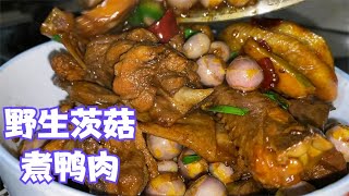 雨锅挖到野生茨菇，娜姐尝试焖进鸭肉里，婆婆赞不绝口还要去挖