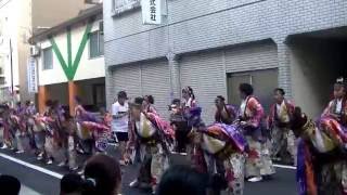 ほろろ一座~えひめYOSAKOI祭り2016 （新町会場）