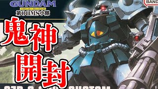 【ガンプラ】鬼神開封!! HGUC グフカスタム 簡単な開封レビュー【機動戦士ガンダム 第MS08小隊】