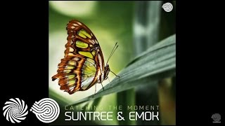 Suntree & Emok - Catching The Moment
