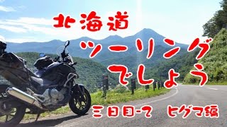 北海道ツーリングでしょう2016。三日目-2（#08）ヒグマ編。