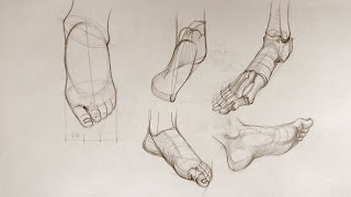 Foot Anatomy - Anatomy Master Class
