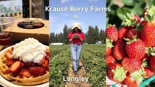 Krause Berry Farms in Langley by driving [vlog#45]