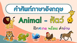 คำศัพท์ สัตว์ ฝึกสะกดคำพร้อมคำอ่าน   | Animals | ภาษาอังกฤษ | Learn and song