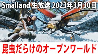 【Smalland】新発売された昆虫だらけのオープンワールドゲームをライブ配信【アフロマスク 2023年3月30日】