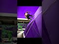 skate 3 realistic edit 🎥 purple sky🌆