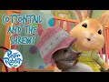 @OfficialPeterRabbit  - Cottontail And The Shrew 💛 🐇 | 10+ Mins Compilation | Cartoons for Kids