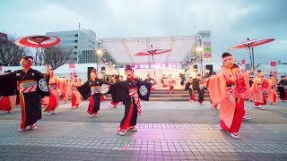 [4K]濱長 花神楽　土佐のおきゃく2018 よさこい春の舞