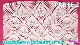 PARTE 2 Como tejer el Cuadro o cuadrado N° 30 a crochet en punto de hojas relieves y espigas