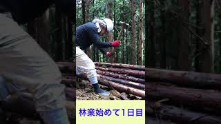 【林業】ただ釘を打つだけの動画　林業初めて1日目　壊れない道づくり　＃ショート