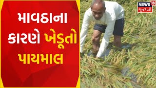 Amreli News | વરસાદે બગાડ્યો ખેડૂતોનો કેરીનો પાક | Mangoes | Gujarat News