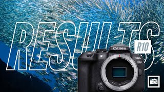 Canon EOS R10 Underwater in La Paz Mexico / Bahamas / Florida