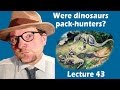 Were dinosaurs pack-hunters?