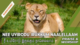 Nee Uyirodu irukkum Naalellaam / நீ உயிரோடு இருக்கும் நாளெல்லாம் / Praise \u0026 Worship / Albert Solomon