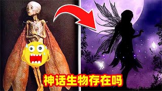 相机捕捉到的6个神话生物，神话生物真的存在吗？