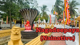 Nagadeepaya Nainativu #mrwalkerceylon #nagadeepa #nainativu #nagadeepaya #viralvideo #trending #new