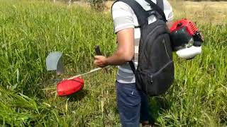 Petrol Brush Cutter 52cc