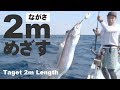 Target 7ft Length Sabel Fish in Okinawa Japan | Outdoor Chef Life collaboration