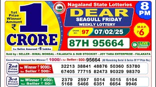 LOTTERY RESULT 8PM 07-02-2025 | Dear Seagull Friday Weekly Lottery