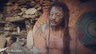 Himalayan Sadhu Story