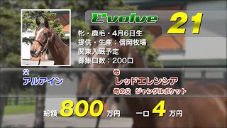 Evolve21(牝1歳 アルアインxレッドエレンシア)の2022年1歳馬募集DVD収録の動画＜立ち/歩様/生産者インタビュー/放牧風景＞