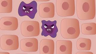 PSI Kids: The Importance of Sunscreen