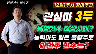 [12월1주차 관심마 3두] 능력마도 힘든 불량주로!! 이번주도?? 부담중량 한계보인 용병기수는 누구??#박수홍경마 #관심마3두