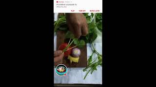 tolits GuapoTv is live Fresh Spinach Vegetable